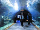 ozeaneum