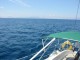 Thumbs/tn_112-1223_IMG.jpg